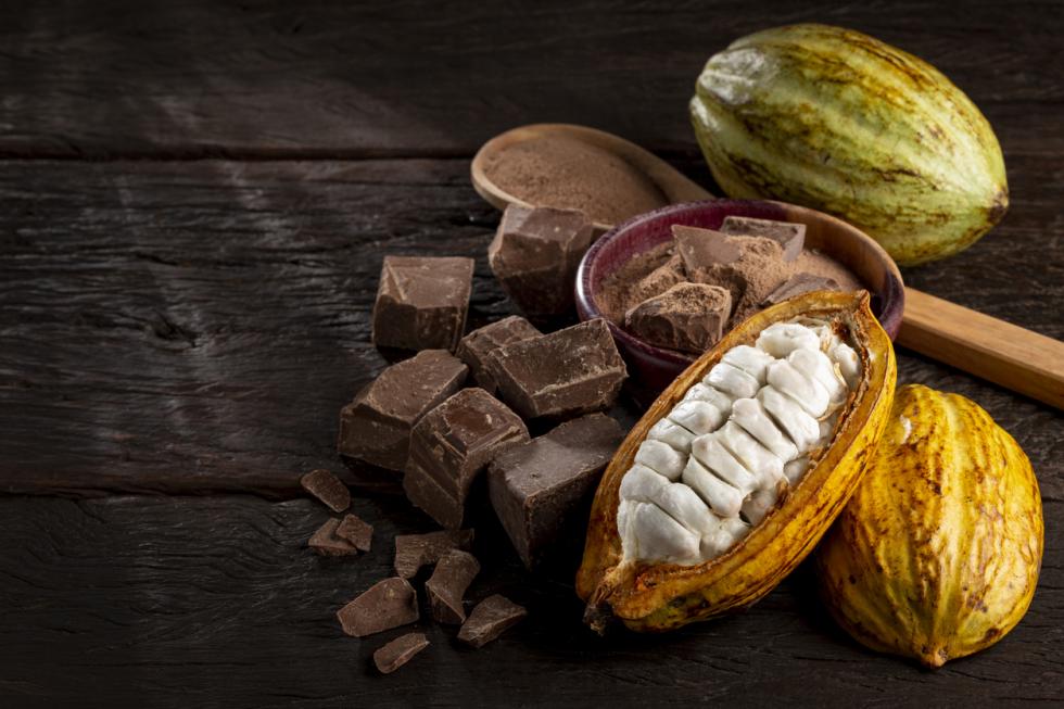 Cacau fresco, fruta usada no licor de Chocolate Delicor